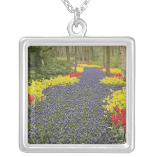 Pathway of Grape Hyacinth, daffodils, and Silver Plated Necklace