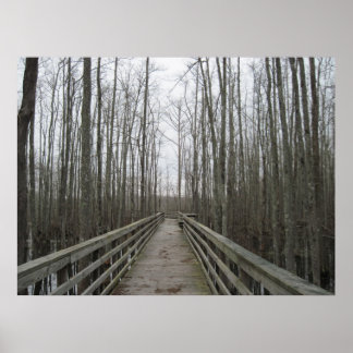 Pathway Through the Wilderness Poster