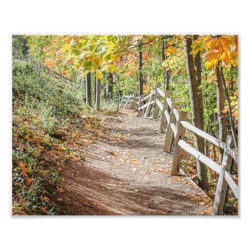 Pathway to Autumn Photo Print