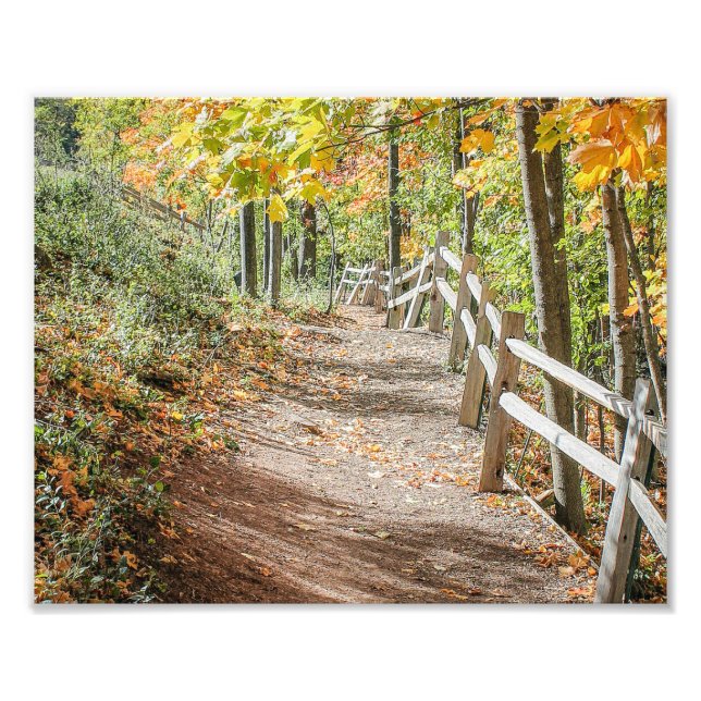Pathway to Autumn Photo Print (Front)