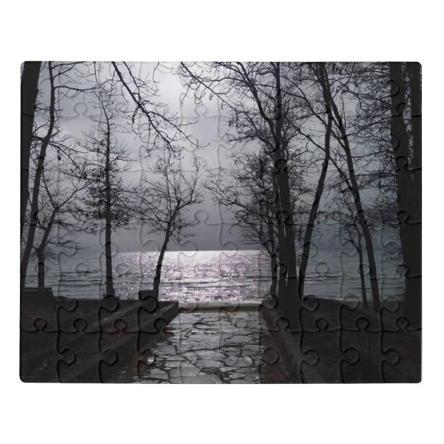 Pathway to Lake Tahoe Jigsaw Puzzle (Puzzle Horizontal)