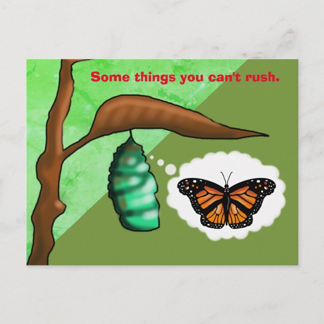 PATIENCE BUTTERFLY by Slipperywindow Postcard (Front)