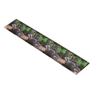 **"Patience by the Water: Two Little Gray Otters Ruler