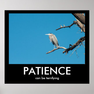 PATIENCE, can be terrifying Demotivational Poster