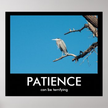 Patience  Can Be Terrifying Demotivational Poster by bluerabbit at Zazzle