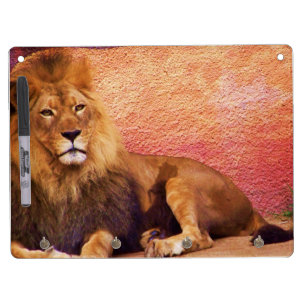 Patience_Dry Erase Board