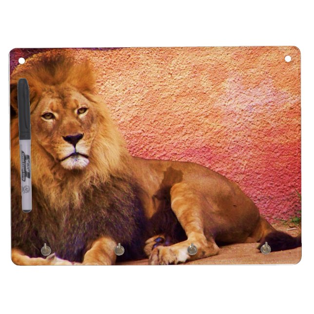Patience_Dry Erase Board (Front)
