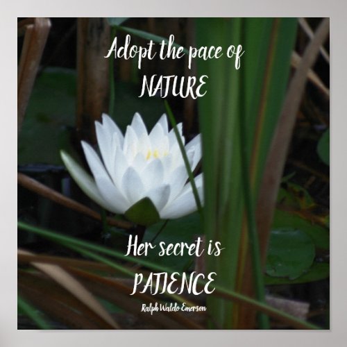 Patience Emerson Inspirational Quote Lotus Poster