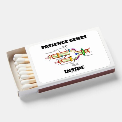 Patience Genes Inside DNA Replication Humor Matchboxes