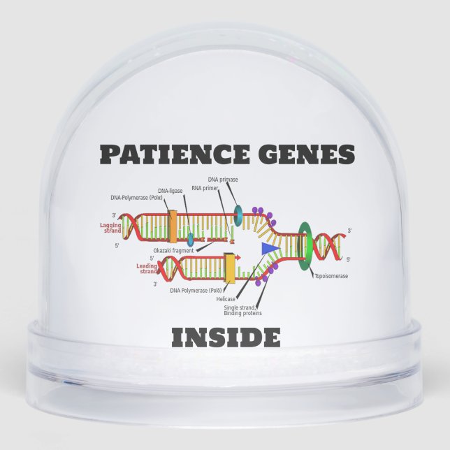 Patience Genes Inside DNA Replication Humor Snow Globe (Front)