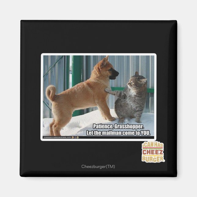 Patience, Grasshopper. Magnet (Front)