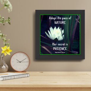 Patience Inspirational Quote Lotus Framed Art