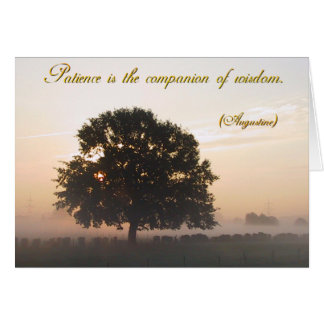 Patience is the companion of wisdom cards