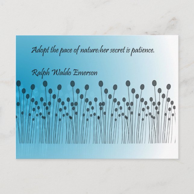 Patience Postcard (Front)