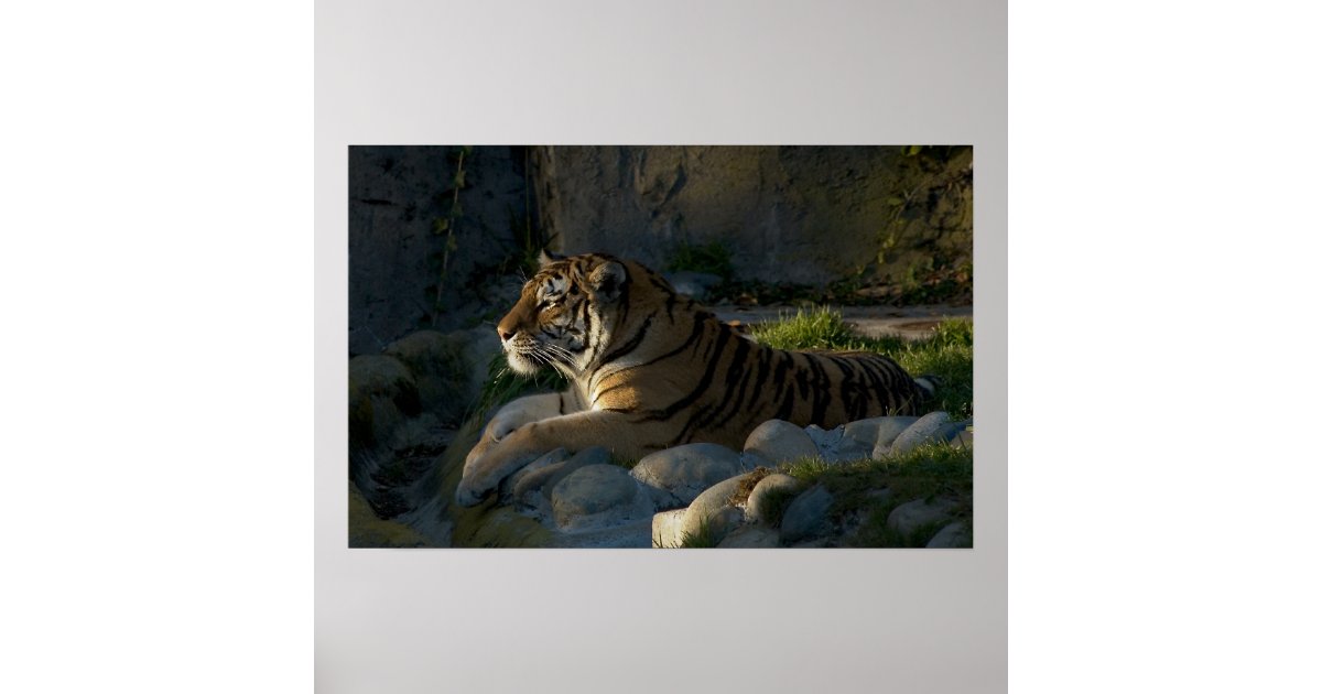 Patience Poster | Zazzle