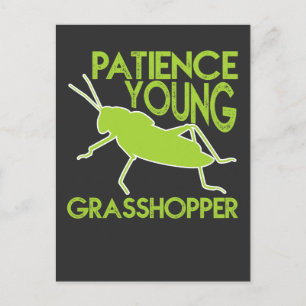 Patience Young Grasshopper Funny Novelty Postcard