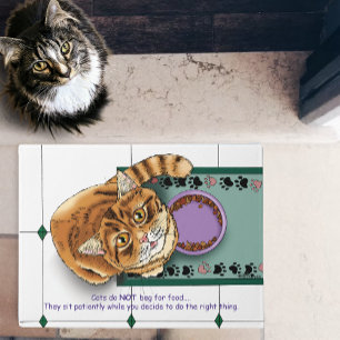 Patient Orange Funny Cat Food Humor Green White Doormat
