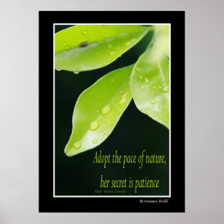patient poster