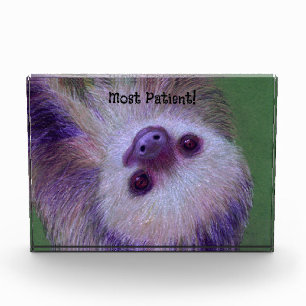 Patient Sloth Acrylic Award