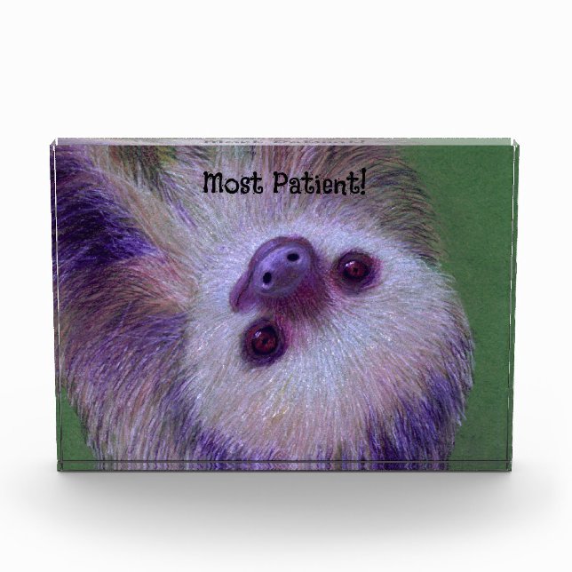 Patient Sloth Acrylic Award (Front)