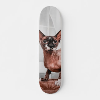 Patineta Gato Raza Esfinge Skateboard