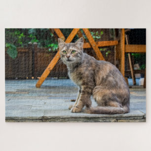 patio cat puzzle