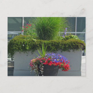 Patio Display of 2013 Flowers Postcard