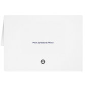 Patio Garden, Córdoba, Spain (Back Horizontal)