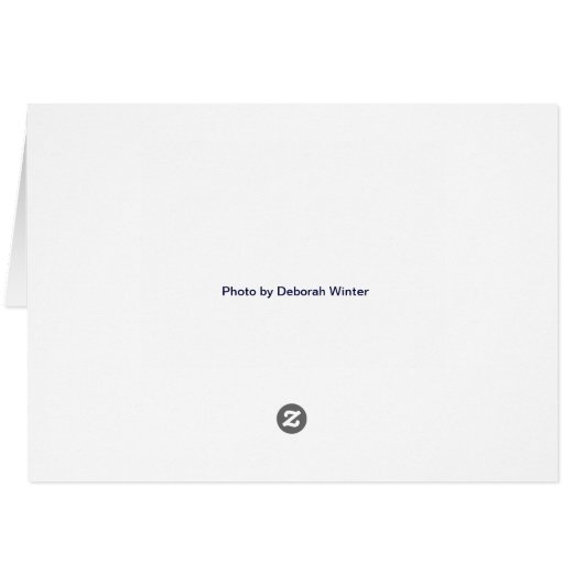 Patio Garden, Córdoba, Spain (Back Horizontal)