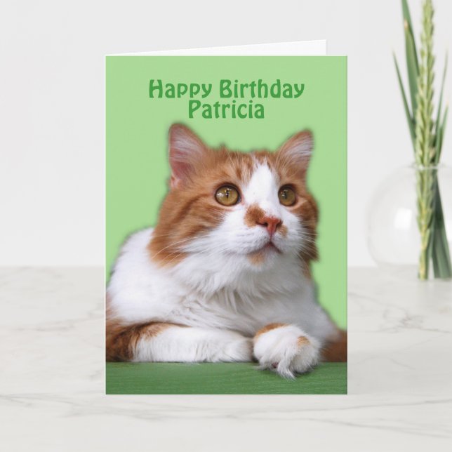 Patricia Happy Birthday Orange and White Cat Card (Front)