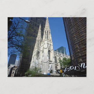 patricks cathedral postcard