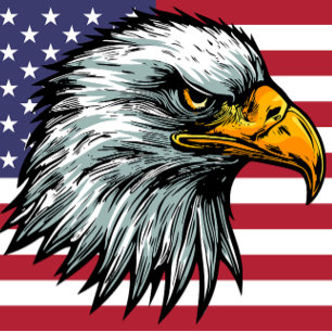 Patriot bald eagle t-shirt