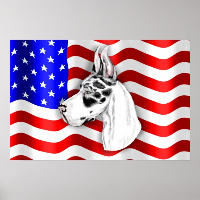 Patriot Dane Harle Poster (Front)