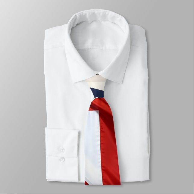 Patriot Neck Tie (Tied)