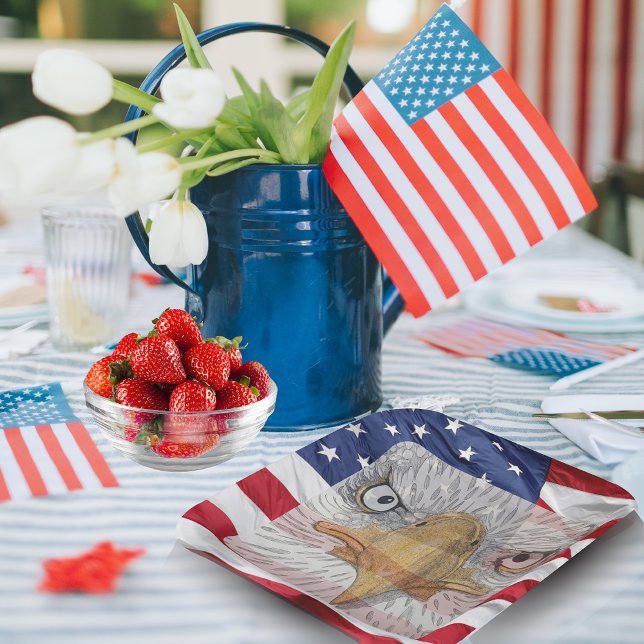 Patriotic 4th Of July BBQ Paper Plates (Creator Uploaded)