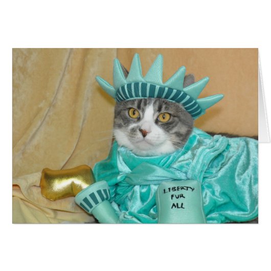 Patriotic 4th of July Gray Tabby Cat Card (Front Horizontal)