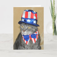 Patriotic 4th of July Gray Tabby Cat card
