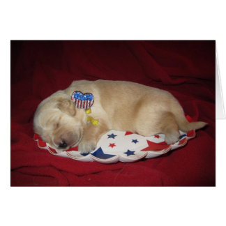 Patriotic Abby Cards