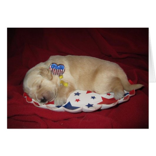 Patriotic Abby Cards (Front Horizontal)