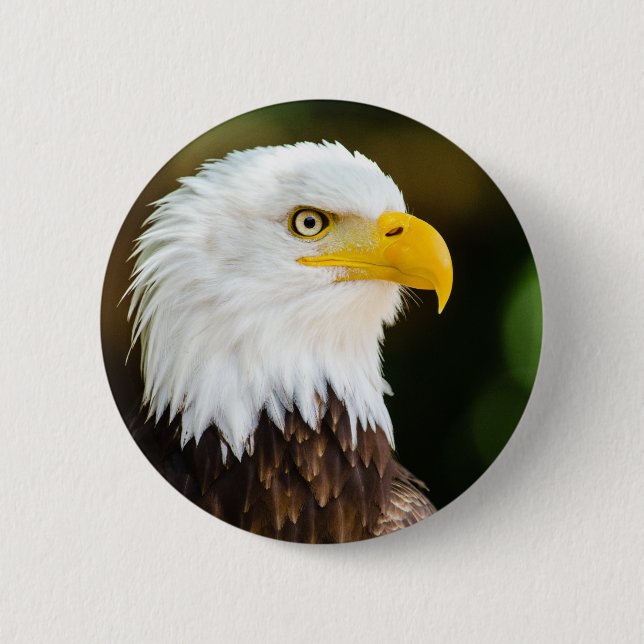 Patriotic Adult American Bald Eagle Button (Front)