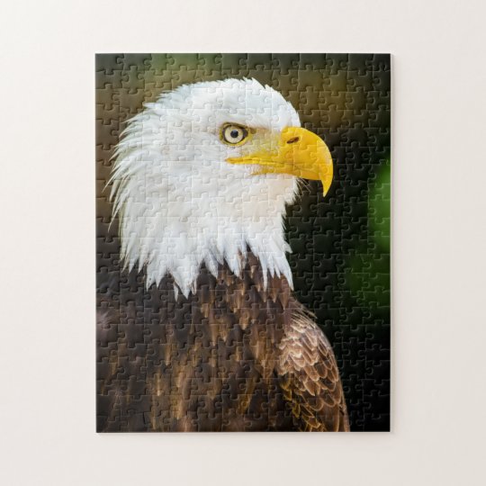 Patriotic Adult American Bald Eagle Jigsaw Puzzle | Zazzle.com
