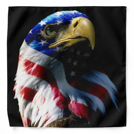 Patriotic USA American Eagle Chop Top Bandanna Headwrap Sweatband Headband 