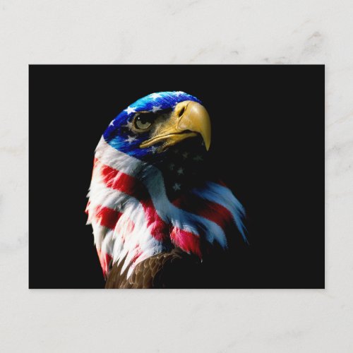 Patriotic American Eagle Postcard
