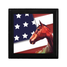 Patriotic American Flag and Horse