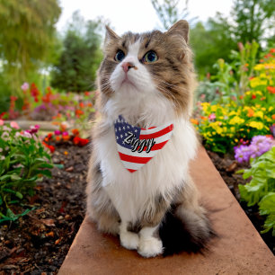 Patriotic American flag custom cat name Pet Bandana Collar