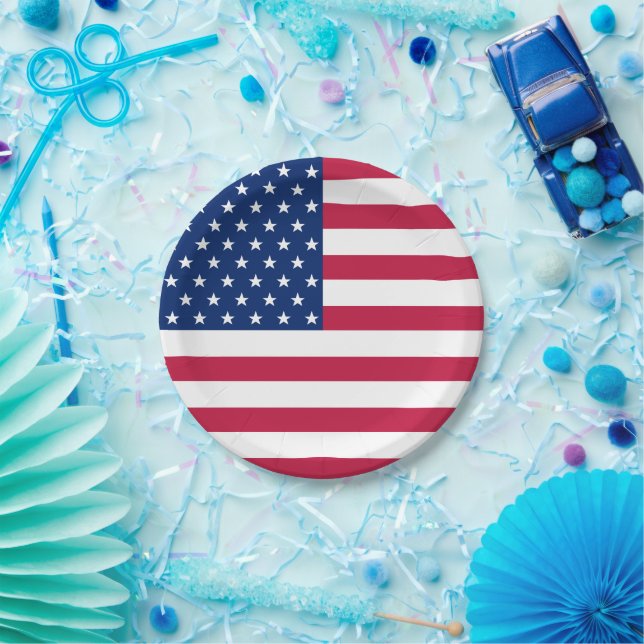 Patriotic American USA Flag Party Parties Food Paper Plates (Party)