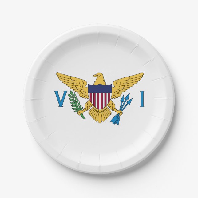 Patriotic American Virgin Islands Flag Paper Plates (Front)
