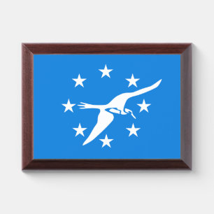 Patriotic award plaque with flag of Corpus Christi