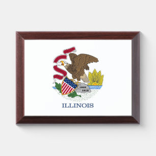 Patriotic award plaque with flag of Illinois