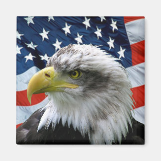 Patriotic Bald Eagle American Flag Magnet